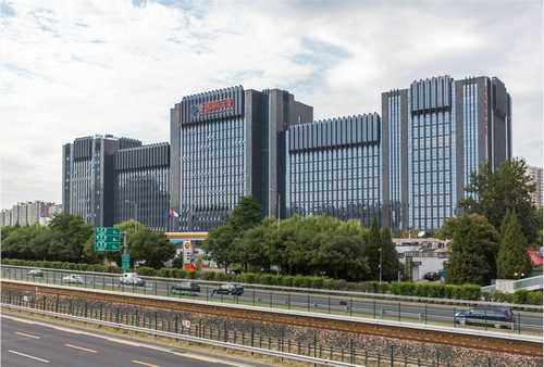 许昌奥尼尔蓝莓苗种植